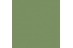 Mission Models RAF Interior Green Acrylic Paint - MMP-079