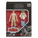 Hasbro Star Wars The Black Series Luke Skywalker and Yoda Figure