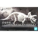 Bandai Dinosaur Skeleton Triceratops Model Kit