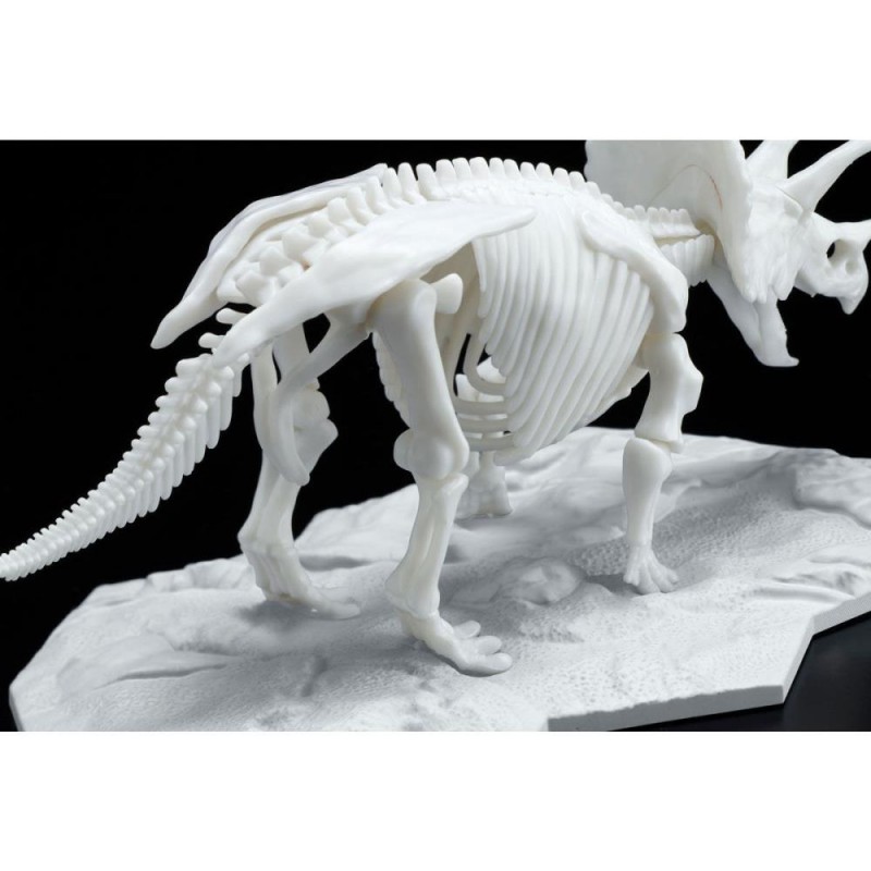 Bandai Dinosaur Skeleton Triceratops Model Kit | 2569527 - Up 