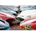 Zero Paints Vintage Jaguar Paints - Opalescent Light Maroon