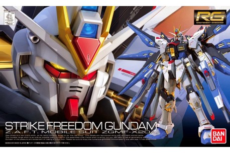 1/144 Freedom Gundam RG - 171625
