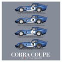 MFH Fulldetail Kit : Cobra Coupe - 1/12 Scale Model Kit