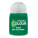 Citadel Colour Shade: Biel-Tan Green-24-19