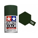 Tamiya 100ml TS-2 Dark Green