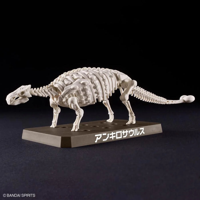 Plannosaurus Ankylosaurus Model Kit
