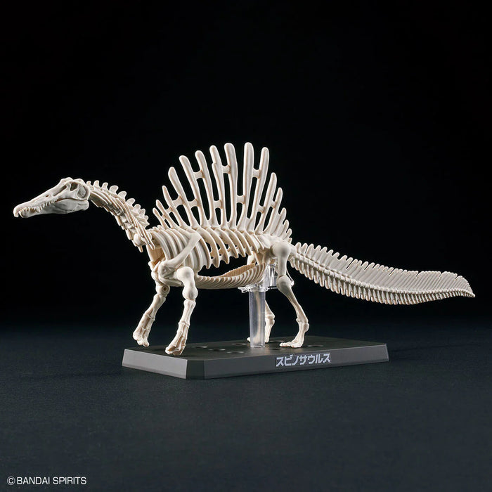 Plannosaurus Spinosaurus Model Kit