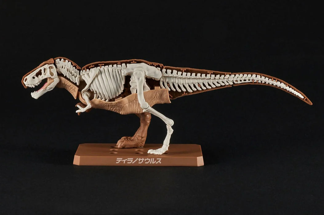 Plannosaurus Tyrannosaurus Model Kit