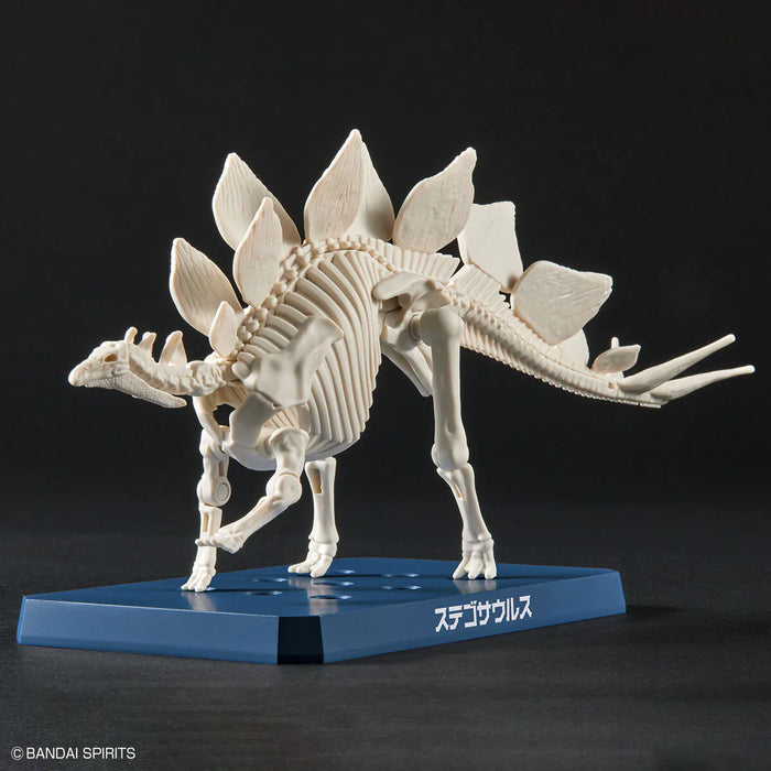 Plannosaurus Stegosaurus Model Kit