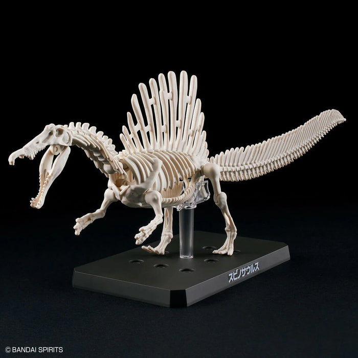 Plannosaurus Spinosaurus Model Kit