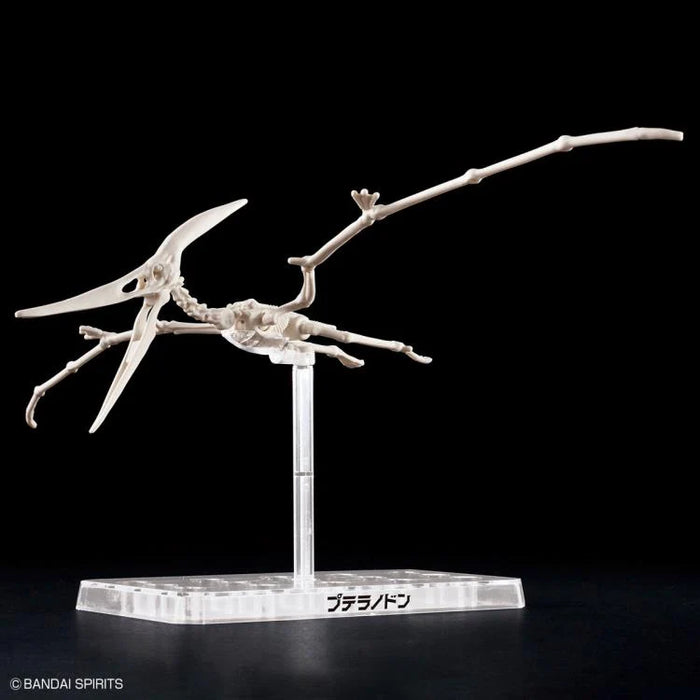 Plannosaurus Pteranodon Model Kit