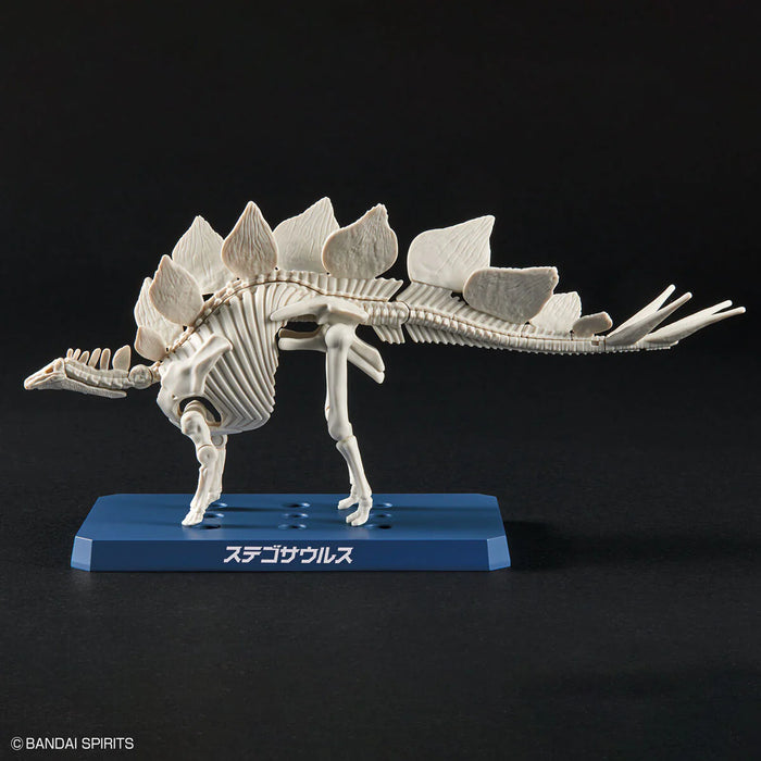 Plannosaurus Stegosaurus Model Kit