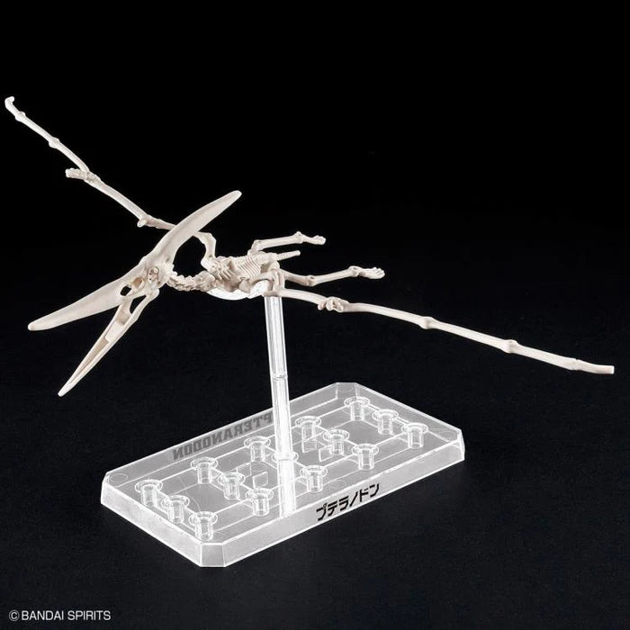 Plannosaurus Pteranodon Model Kit