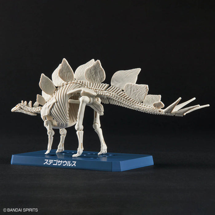 Plannosaurus Stegosaurus Model Kit