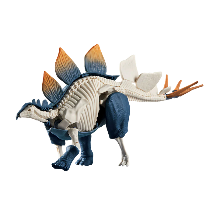 Plannosaurus Stegosaurus Model Kit