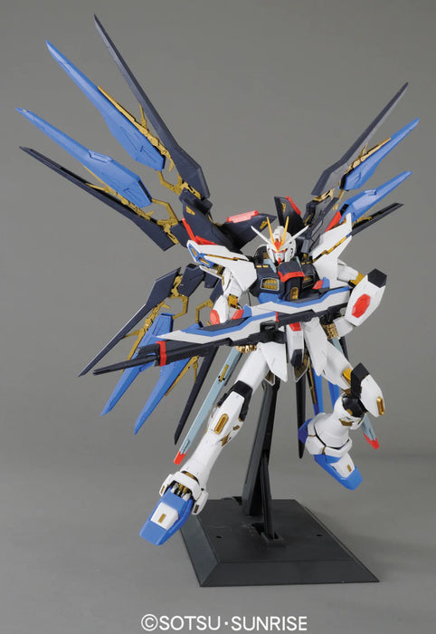 PG ZGMF-X20A Strike Freedom Gundam