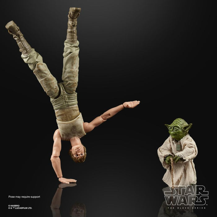 Hasbro Star Wars The Black Series Luke Skywalker and Yoda Figure