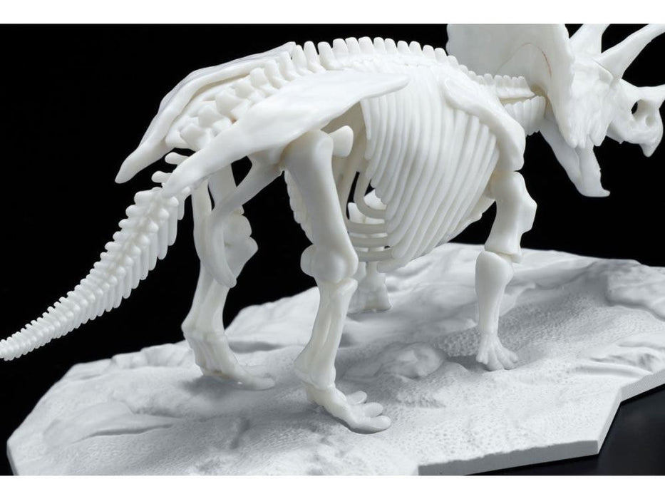 Bandai Dinosaur Skeleton Triceratops Model Kit