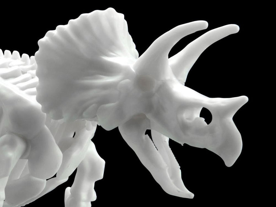 Bandai Dinosaur Skeleton Triceratops Model Kit