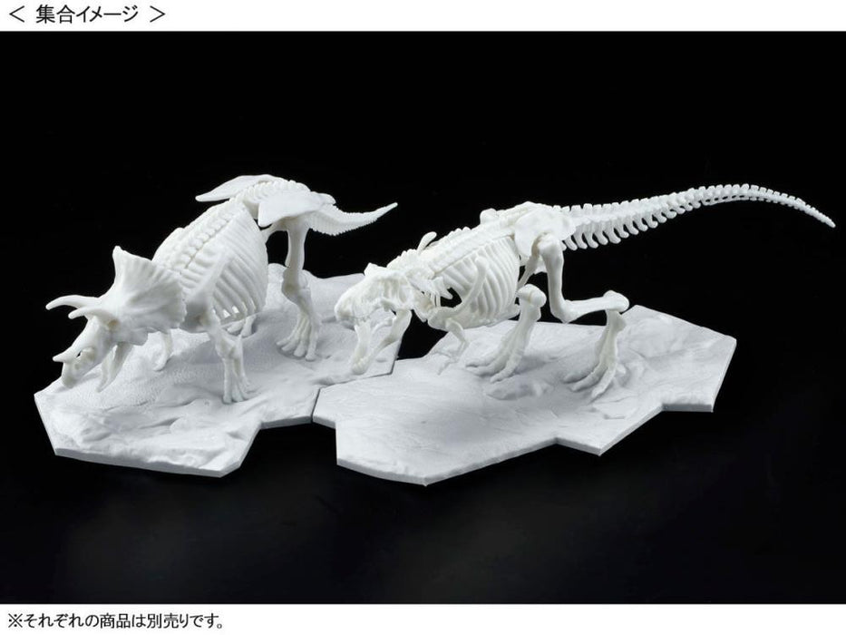 Bandai Dinosaur Skeleton Triceratops Model Kit