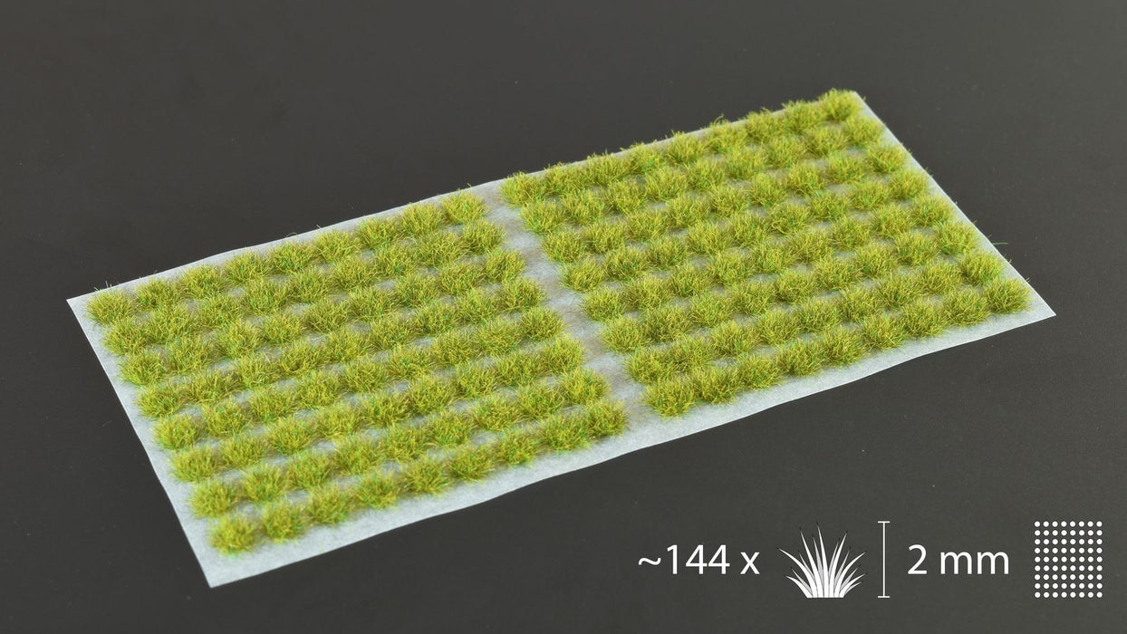 Gamers Grass Moss 2mm Tuft - Small