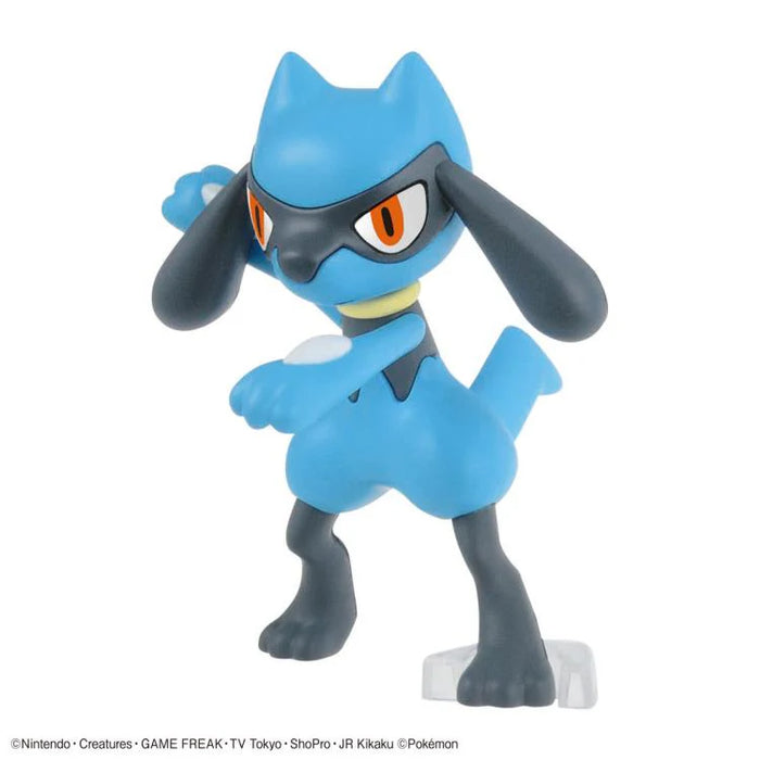 Pokémon Riolu & Lucario