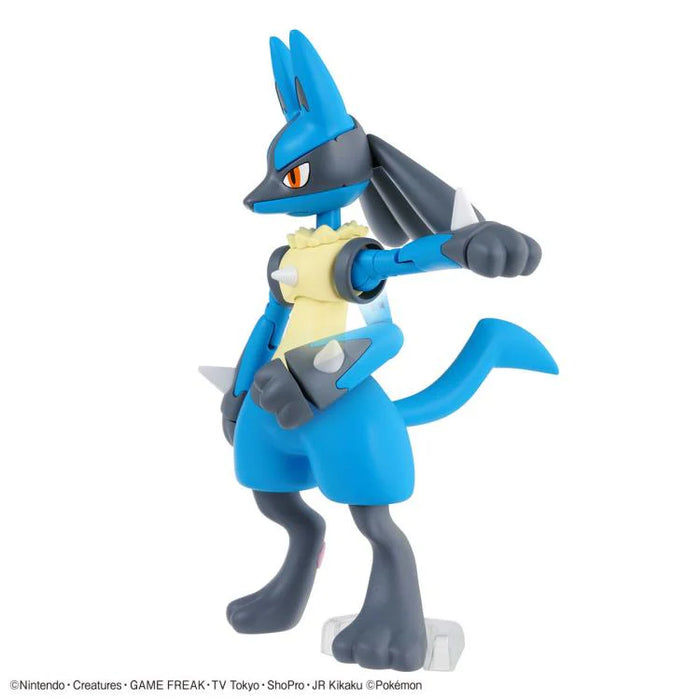 Pokémon Riolu & Lucario