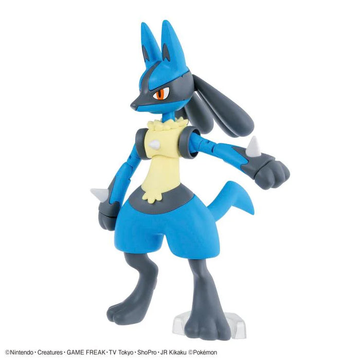 Pokémon Riolu & Lucario