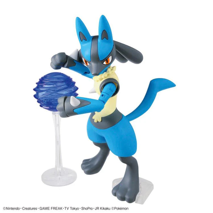 Pokémon Riolu & Lucario