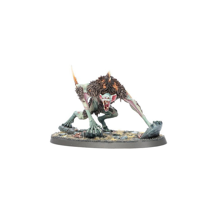 Warhammer Age Of Sigmar Flesh-Eater Courts Army Set