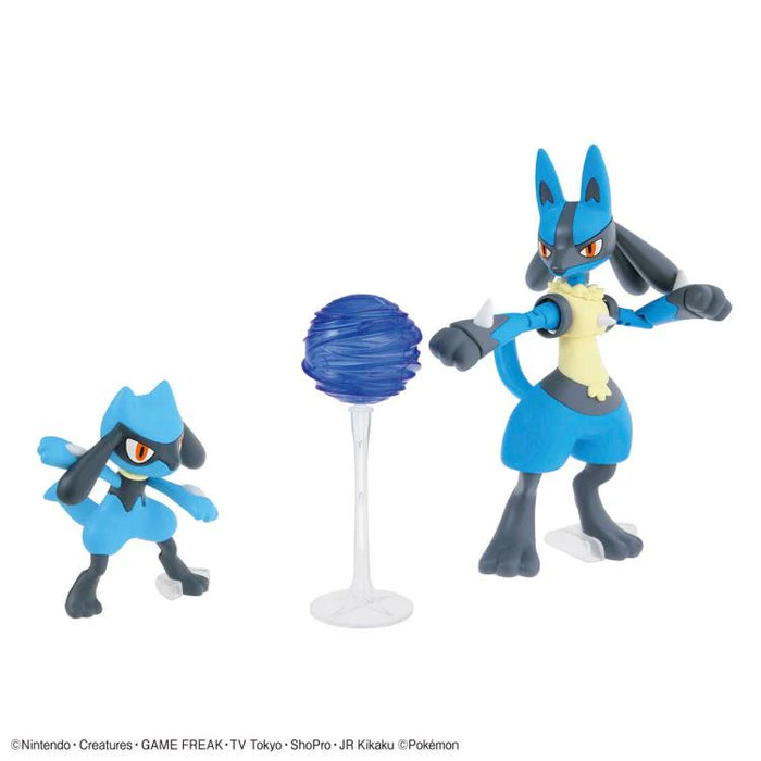 Pokémon Riolu & Lucario