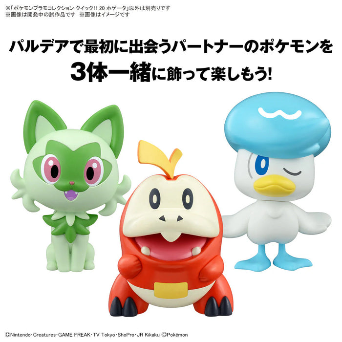 Pokémon Model Kit Quick!! 20 Fuecoco