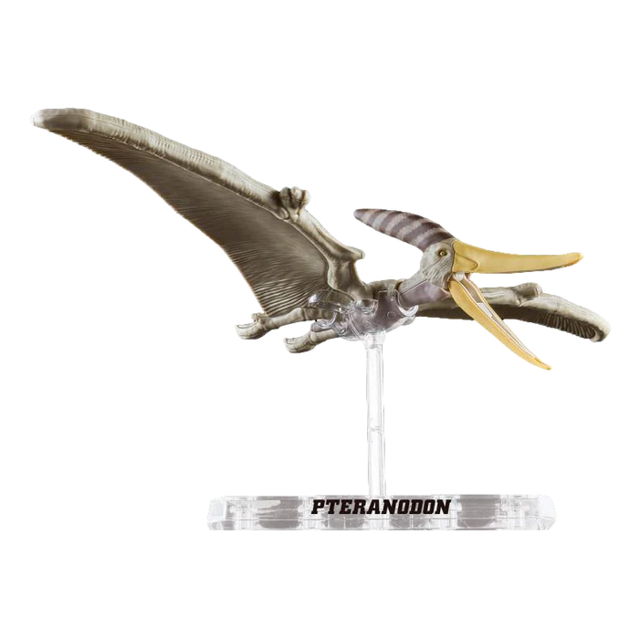 Plannosaurus Pteranodon Model Kit