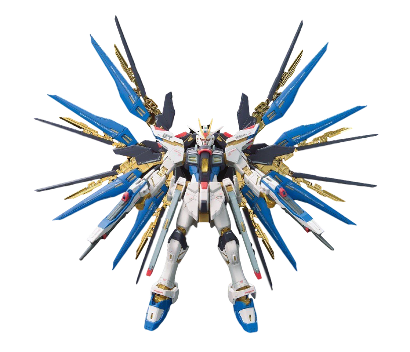 RG 14 ZGMF-X20A Strike Freedom