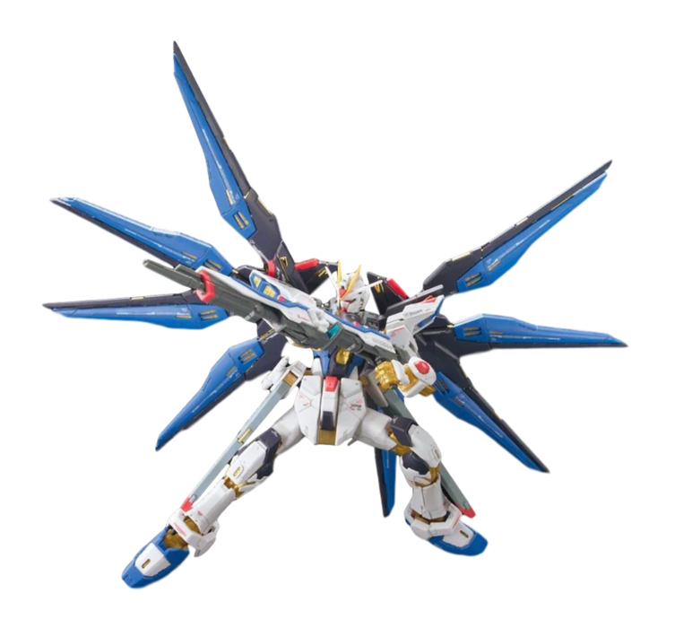 RG 14 ZGMF-X20A Strike Freedom