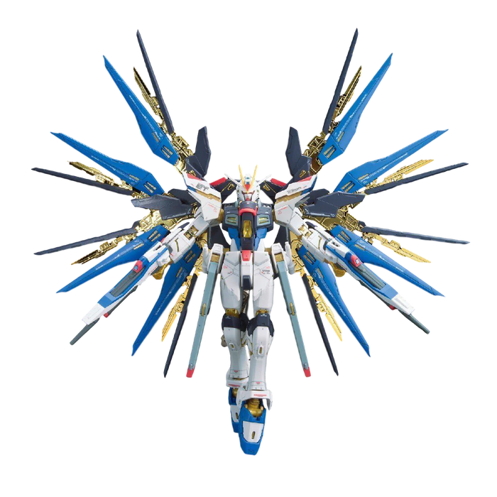 RG 14 ZGMF-X20A Strike Freedom